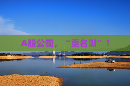 A股公司，“更名潮”！