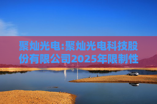 聚灿光电:聚灿光电科技股份有限公司2025年限制性股票激励计划（草案）摘要