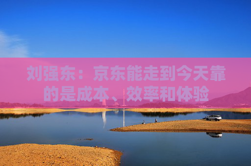 刘强东：京东能走到今天靠的是成本、效率和体验