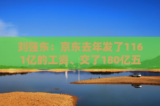 刘强东：京东去年发了1161亿的工资、交了180亿五险一金，没有把利润当成第一大追求