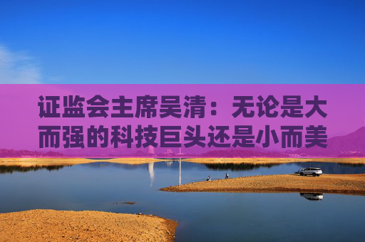 证监会主席吴清：无论是大而强的科技巨头还是小而美的科创新秀，都离不开资本市场的支持  第1张