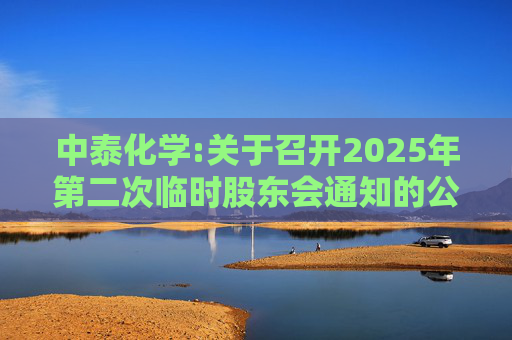 中泰化学:关于召开2025年第二次临时股东会通知的公告