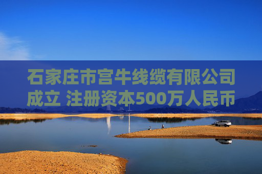 石家庄市宫牛线缆有限公司成立 注册资本500万人民币