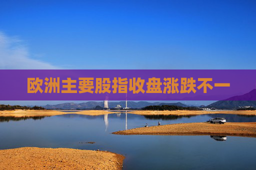 欧洲主要股指收盘涨跌不一