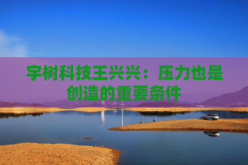 宇树科技王兴兴：压力也是创造的重要条件