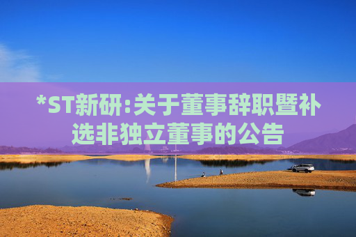 *ST新研:关于董事辞职暨补选非独立董事的公告