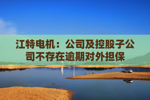 江特电机：公司及控股子公司不存在逾期对外担保