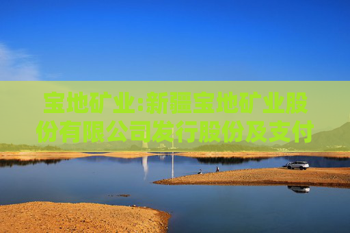 宝地矿业:新疆宝地矿业股份有限公司发行股份及支付现金购买资产并募集配套资金暨关联交易报告书（草案）