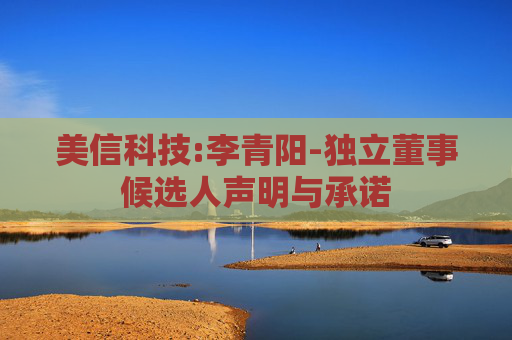 美信科技:李青阳-独立董事候选人声明与承诺