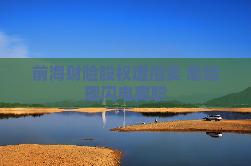 前海财险股权遭拍卖 总经理闪电离职