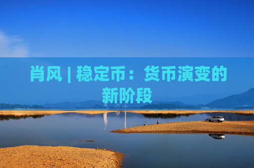 肖风 | 稳定币：货币演变的新阶段