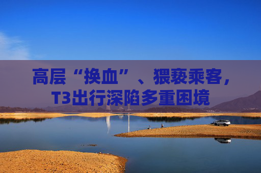 高层“换血”、猥亵乘客，T3出行深陷多重困境