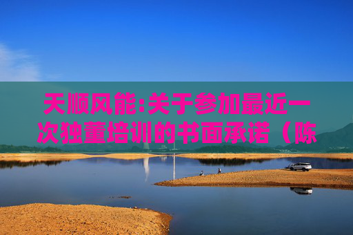 天顺风能:关于参加最近一次独董培训的书面承诺（陈增炀）