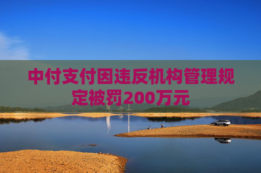 中付支付因违反机构管理规定被罚200万元  第1张