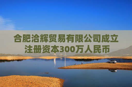 合肥洽辉贸易有限公司成立 注册资本300万人民币