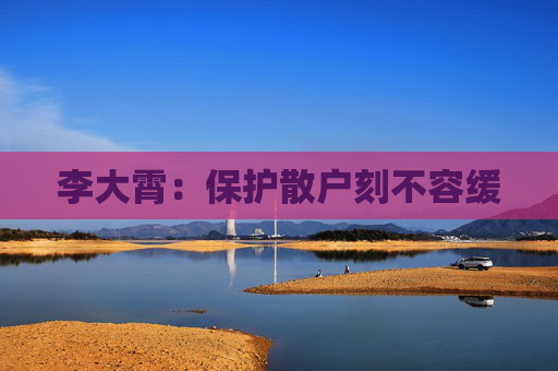 李大霄：保护散户刻不容缓