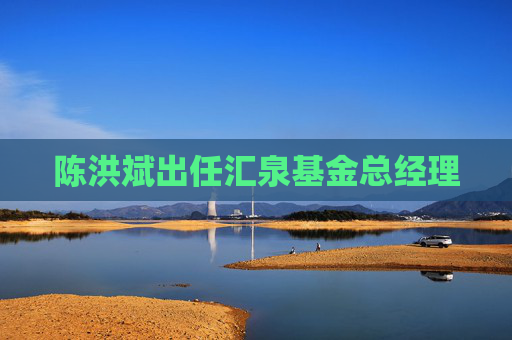 陈洪斌出任汇泉基金总经理