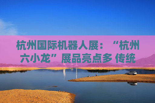 杭州国际机器人展：“杭州六小龙”展品亮点多 传统企业拓展业务