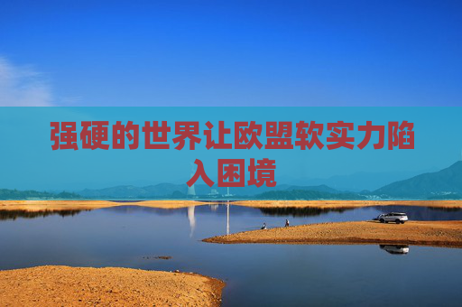 强硬的世界让欧盟软实力陷入困境