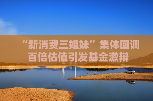 “新消费三姐妹”集体回调 百倍估值引发基金激辩