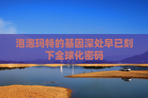 泡泡玛特的基因深处早已刻下全球化密码
