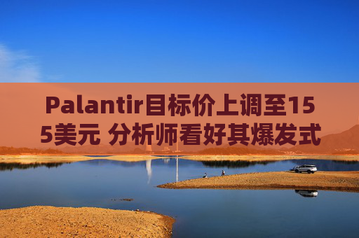 Palantir目标价上调至155美元 分析师看好其爆发式AI潜力
