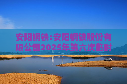 安阳钢铁:安阳钢铁股份有限公司2025年第六次临时监事会会议决议公告