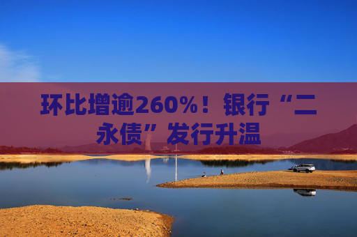 环比增逾260%!银行“二永债”发行升温