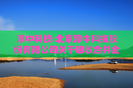淳中科技:北京淳中科技股份有限公司关于吸收合并全资子公司的公告