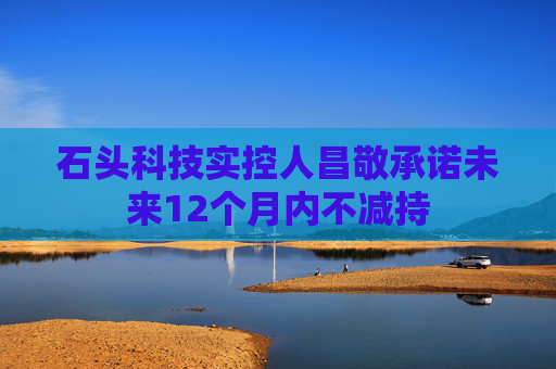 石头科技实控人昌敬承诺未来12个月内不减持