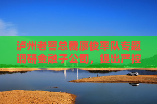 泸州老窖总裁廖俊率队专题调研金融子公司，提出严控流动性风险