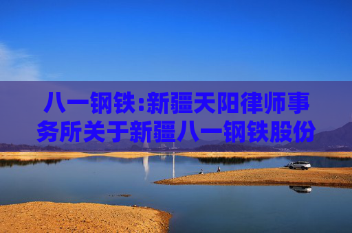 八一钢铁:新疆天阳律师事务所关于新疆八一钢铁股份有限公司2024年年度股东大会法律意见书