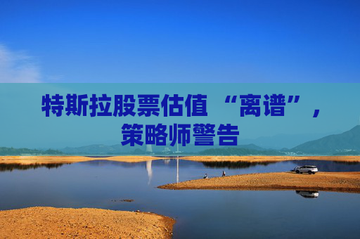 特斯拉股票估值 “离谱”，策略师警告