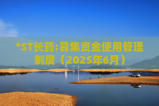 *ST长药:募集资金使用管理制度（2025年6月）