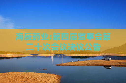 海辰药业:第四届监事会第二十次会议决议公告