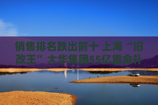 销售排名跌出前十 上海“旧改王”大华集团55亿重金补仓