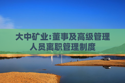 大中矿业:董事及高级管理人员离职管理制度