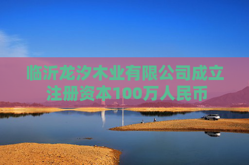 临沂龙汐木业有限公司成立 注册资本100万人民币