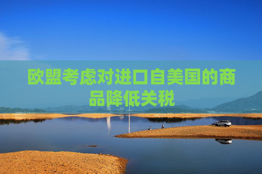 欧盟考虑对进口自美国的商品降低关税
