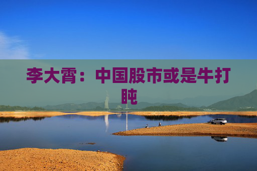 李大霄：中国股市或是牛打盹