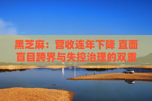黑芝麻：营收连年下降 直面盲目跨界与失控治理的双重困局