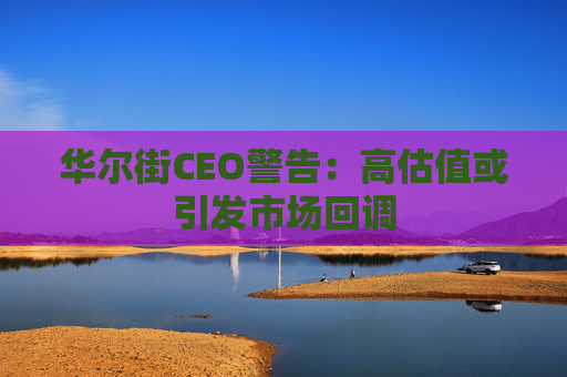 华尔街CEO警告：高估值或引发市场回调