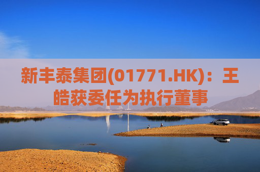 新丰泰集团(01771.HK)：王皓获委任为执行董事