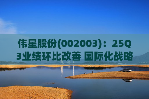伟星股份(002003)：25Q3业绩环比改善 国际化战略保障成长