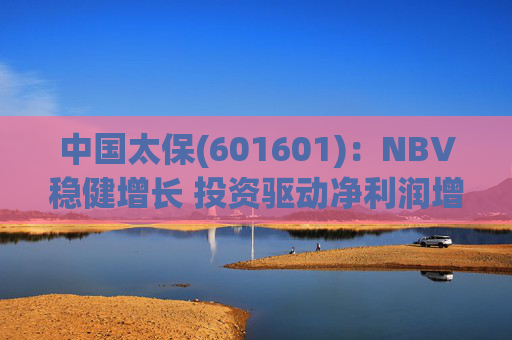 中国太保(601601)：NBV稳健增长 投资驱动净利润增速提升
