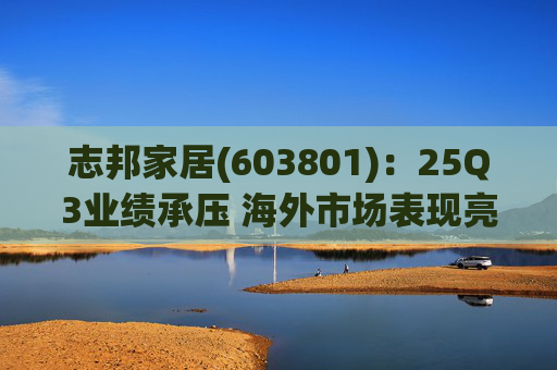 志邦家居(603801)：25Q3业绩承压 海外市场表现亮眼
