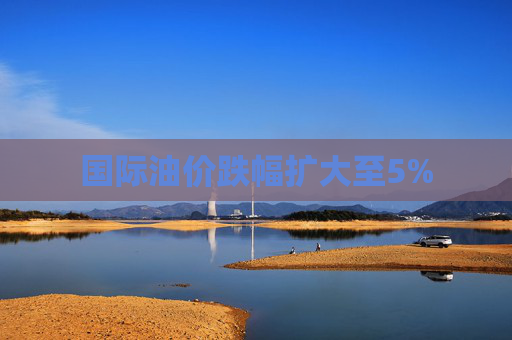国际油价跌幅扩大至5%  第1张