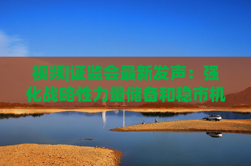 视频|证监会最新发声:强化战略性力量储备和稳市机制建设,提升资本市场内在稳定性