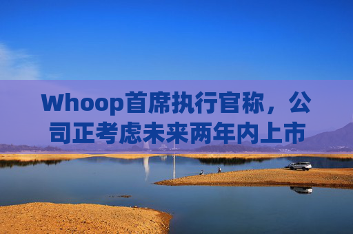 Whoop首席执行官称,公司正考虑未来两年内上市 第1张 Whoop首席执行官称,公司正考虑未来两年内上市 第1张
