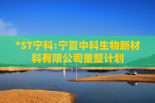 *ST宁科:宁夏中科生物新材料有限公司重整计划